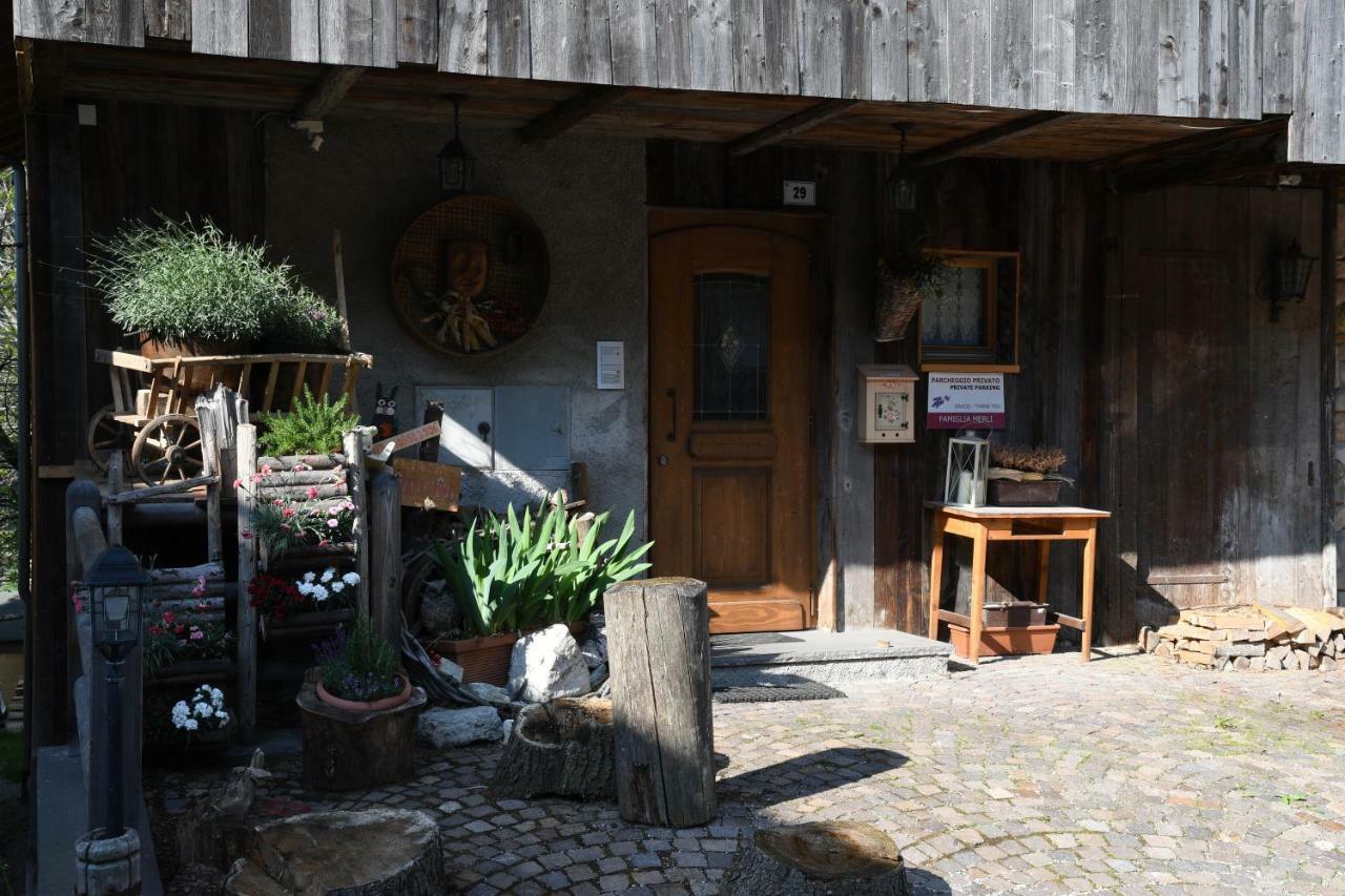 Cianbolpin Guesthouse Canazei Extérieur photo